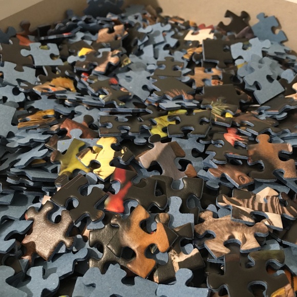 Ravensburger Puzzle 1000 Pieces National Geographic PhotoArk Joel Sartore Animal - Picture 4 of 4